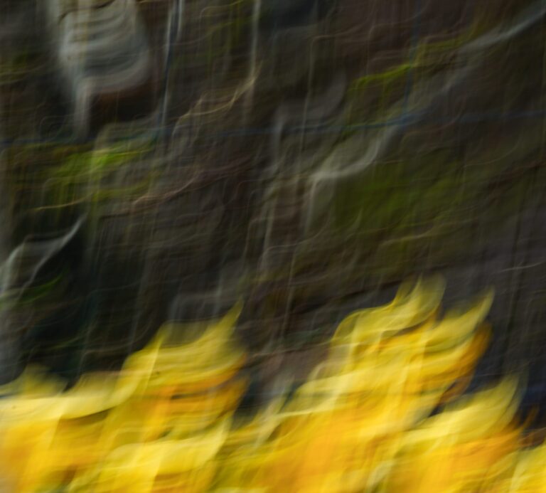 Home whispering echoes