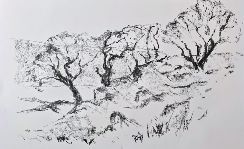 img 20260211 145144~2